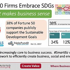Fortune 50 firms embrace SDGs
